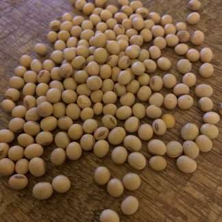 Soy Bean Organic