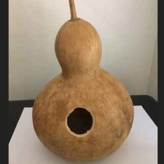 Birdhouse Gourd