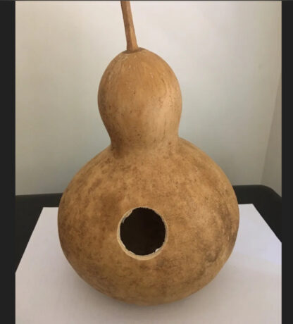 Birdhouse Gourd