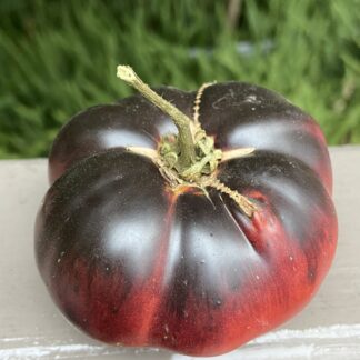 Tomato - Blue Beauty