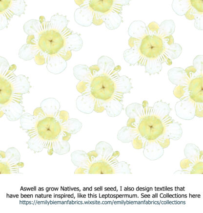 Leptospermum Textiles, Leptospermum Flower white4, fabric