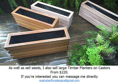 Timber Planters available - made to order, from $220