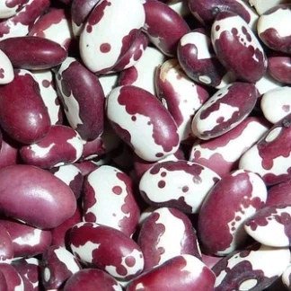 1500 Year Old Cave Beans