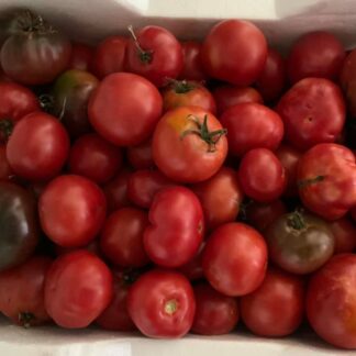 Tomatoes, Best Of The Reds.