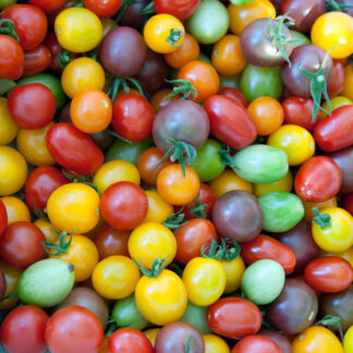 Cherry Tomato Mix