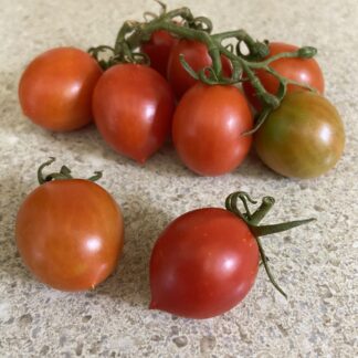 Tomato - Principe Borghese