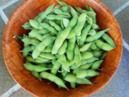 Edamame (Soya Bean) 毛 豆 (Australian-grown)