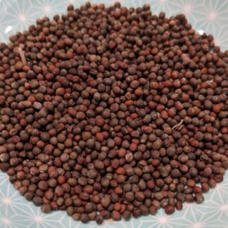 Broccoli Green Sprouting Calabrese