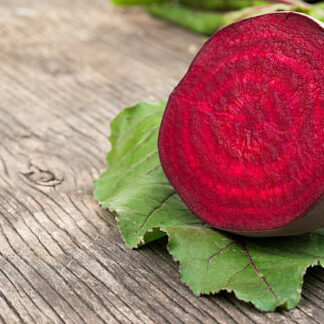 Beetroot Early Wonder