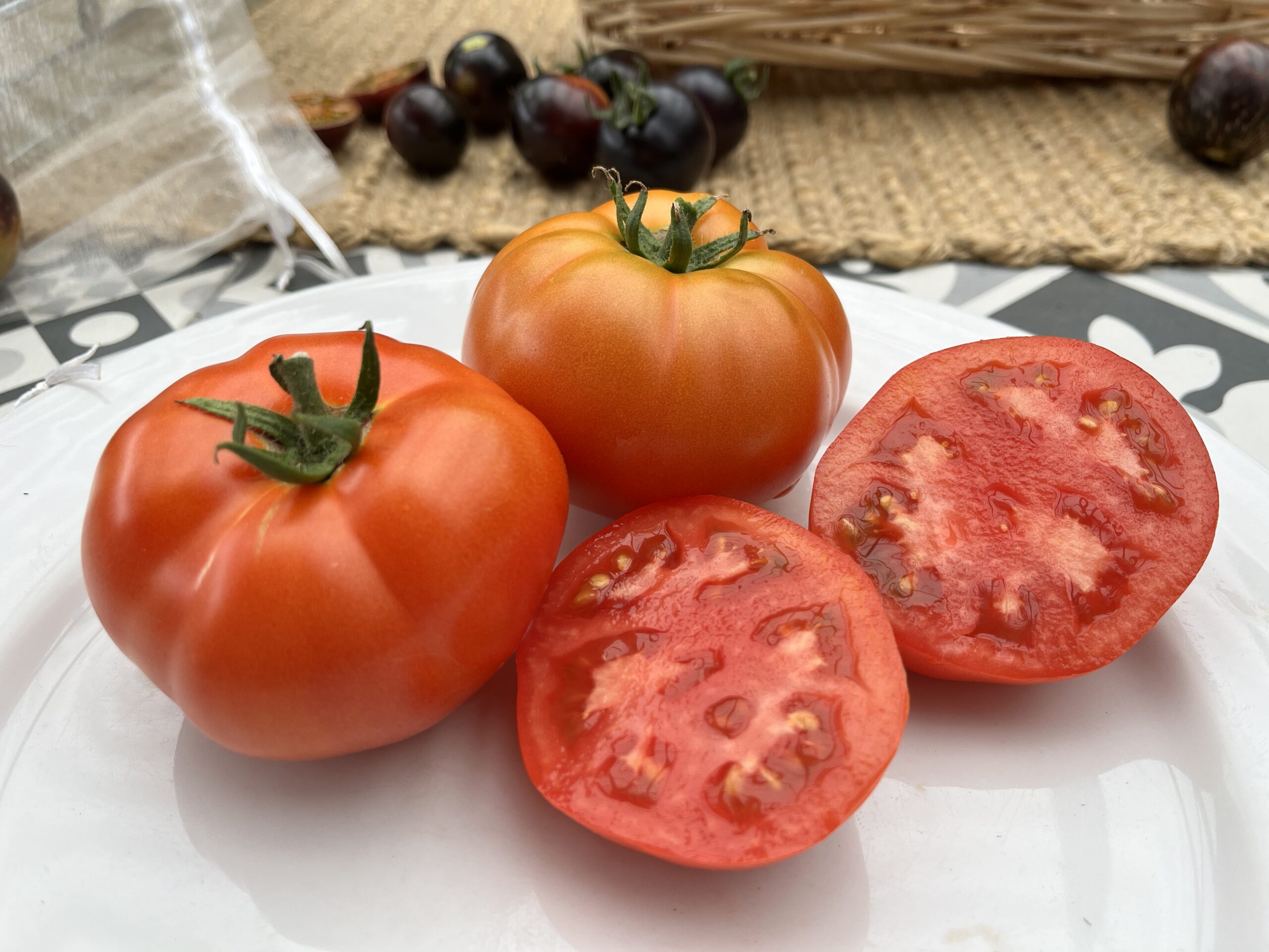 Tomato - Chandler Tomato - Chandler