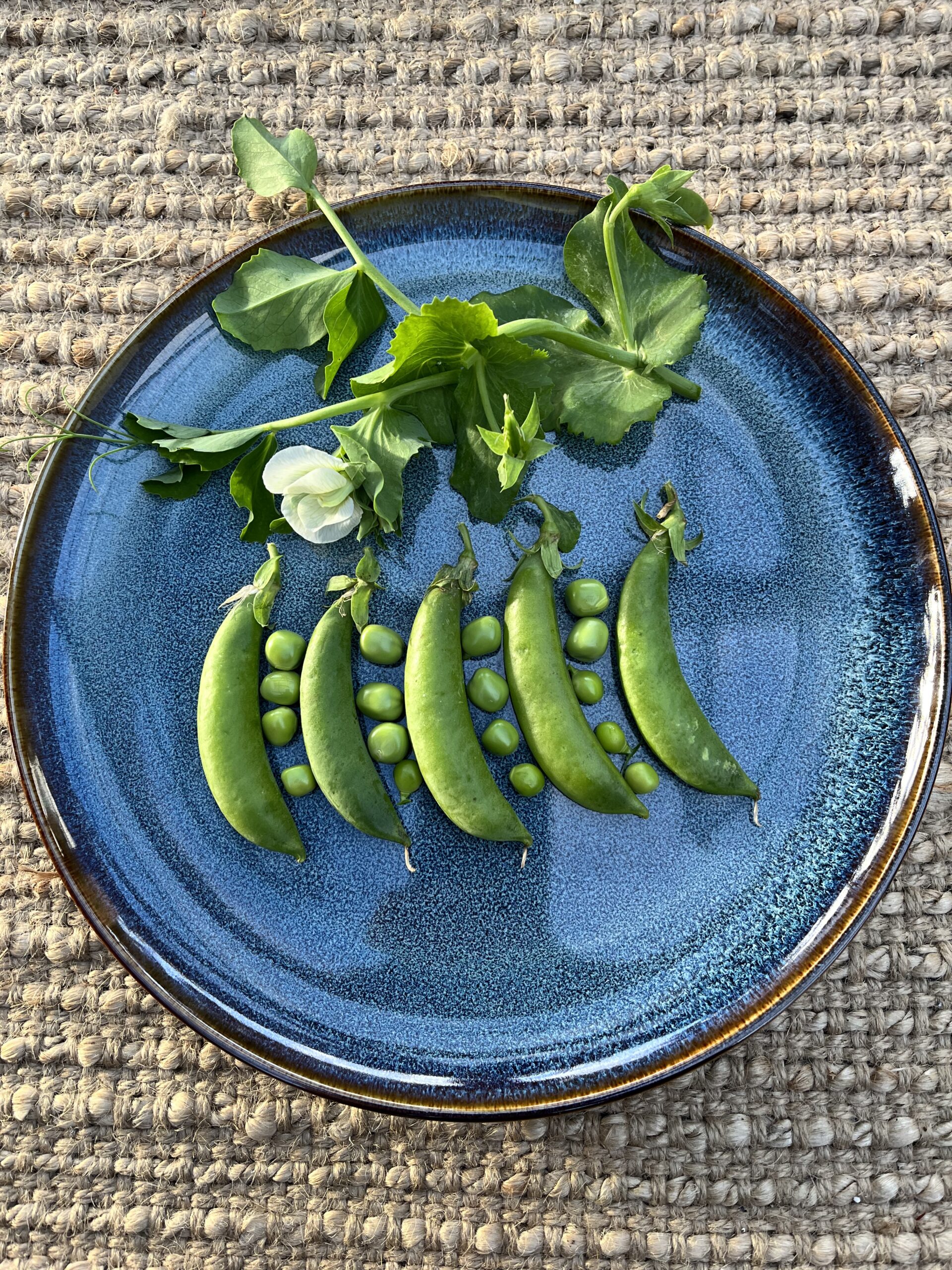 Peas - Telephone Peas - Telephone