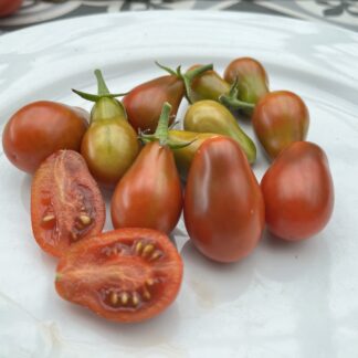 Tomato - Mini Chocolate Pear
