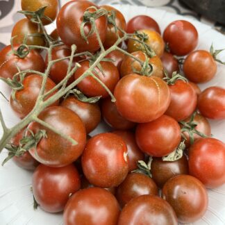 Tomato - Brown Cherry
