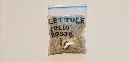 Organic Lettuce Lollo Rosso