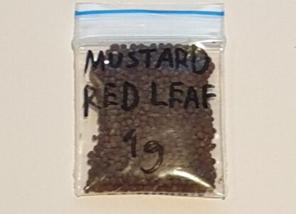 Organic Mustard Red Leaf
