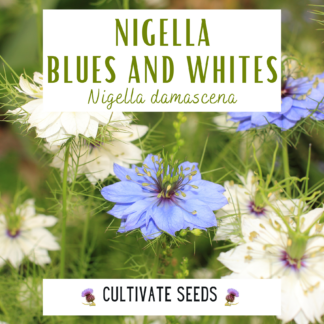 Nigella