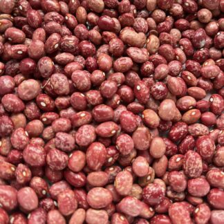 Semi Climbing Beans - Anto Nearly Round