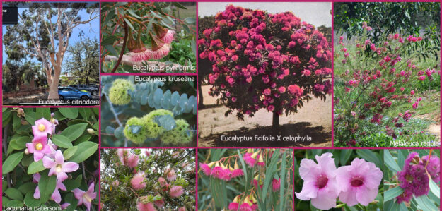 Farm Plants and Seeds