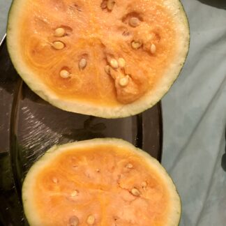 Orangeglo Watermelon