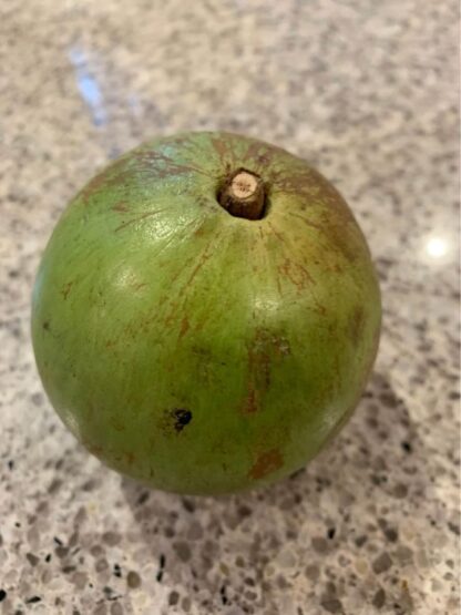 Star Apple (from Australian-grown trees)