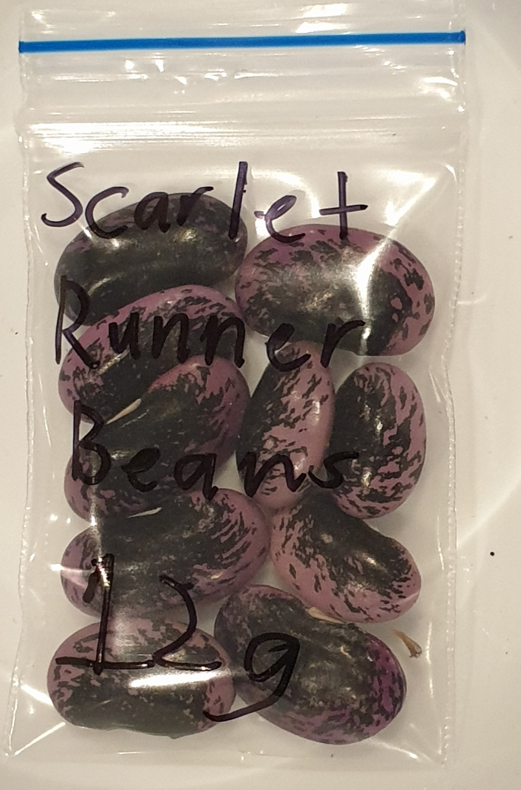 Organic Scarlet Runner Bean Organic Scarlet Runner Bean - Image 3