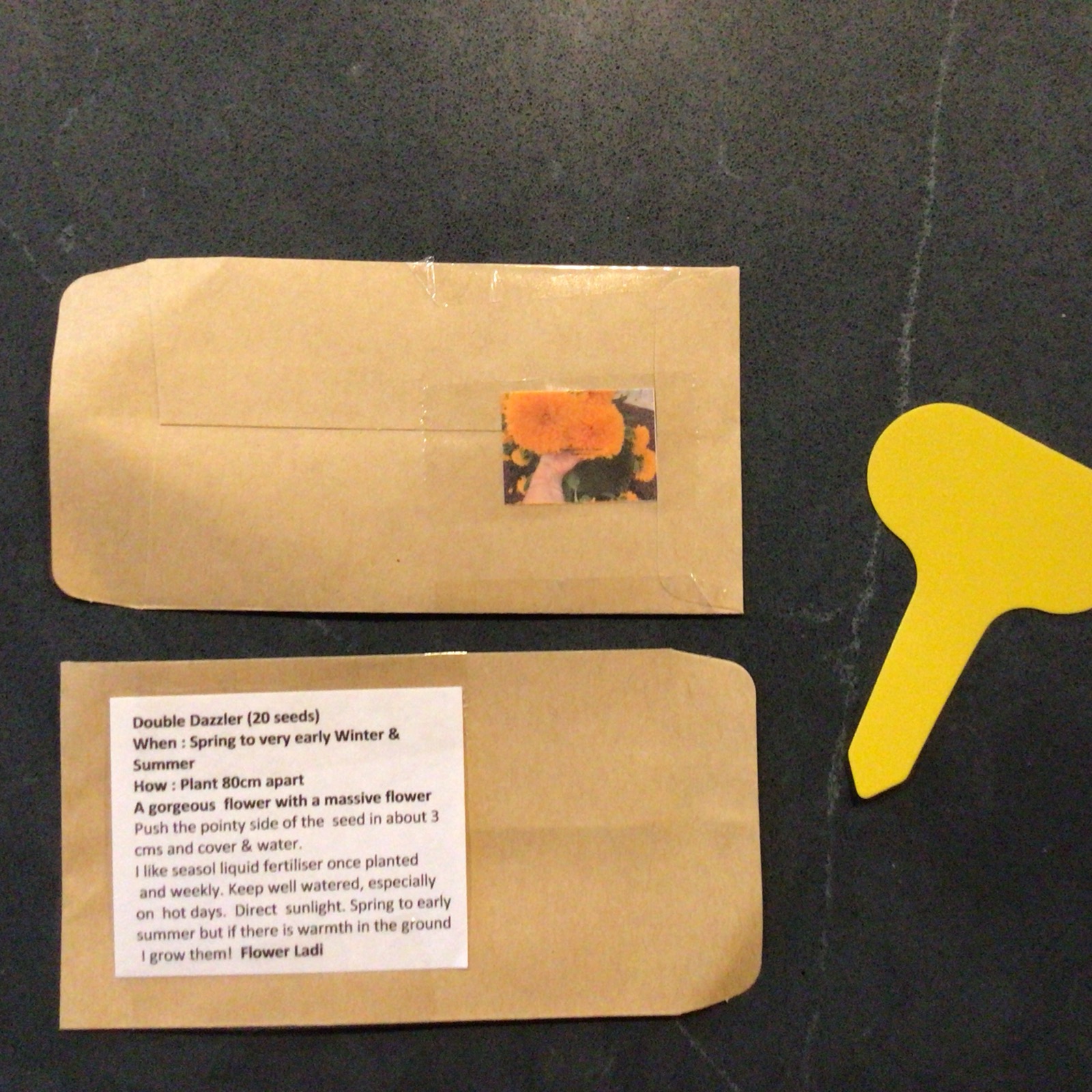 Double Dazzler Sunflowers Double Dazzler Sunflowers - Image 6