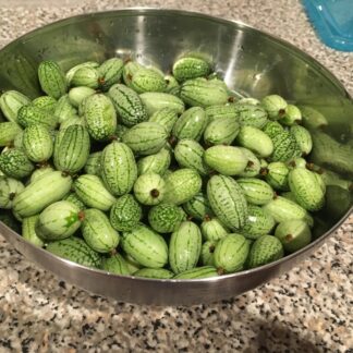 Cucamelon - Mouse Melon