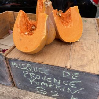 Musquee De Provedence (French Heirloom) Pumpkin