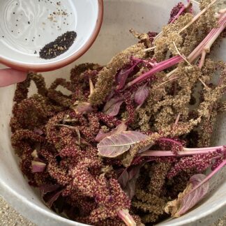Red Amaranth