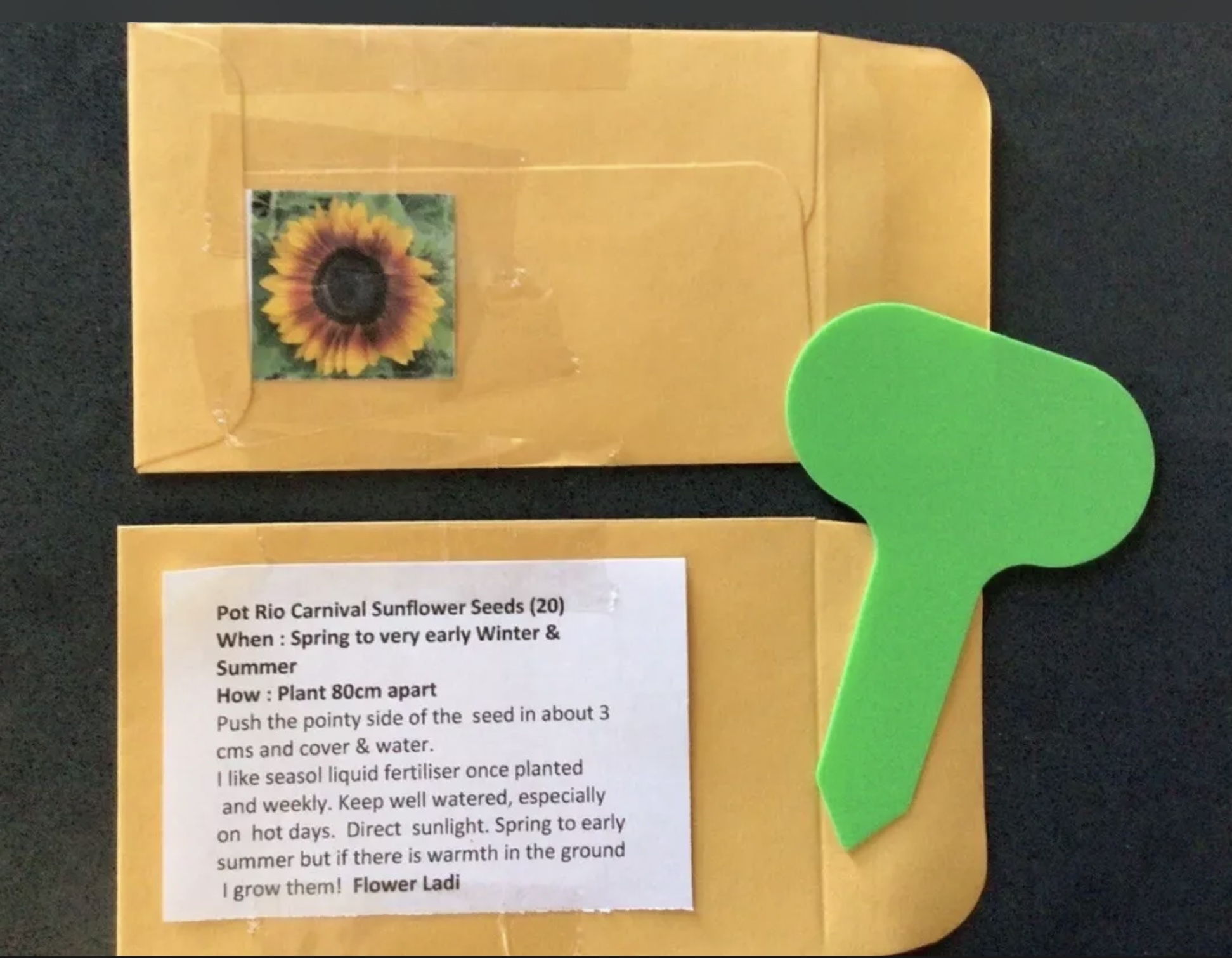 Pot Rio Carnival Sunflower Pot Rio Carnival Sunflower - Image 4