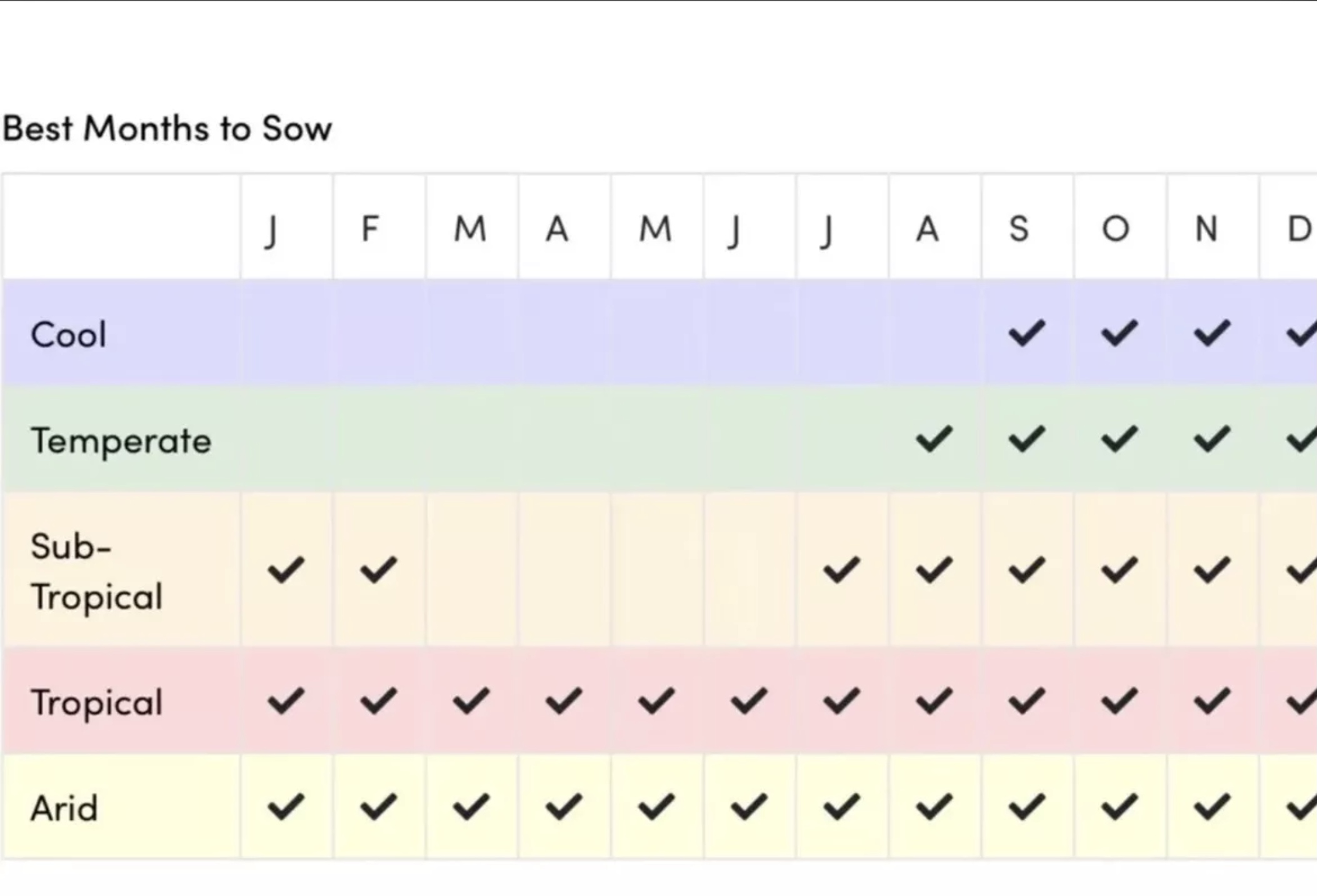 Pot Rio Carnival Sunflower Pot Rio Carnival Sunflower - Image 6