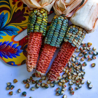 Oaxacan Green Corn