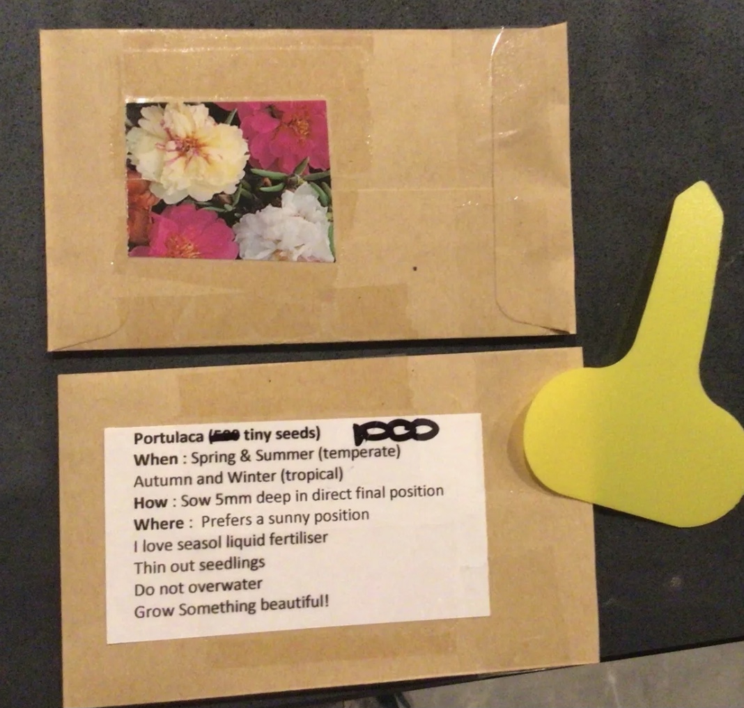 Portulaca (1000 Seed Pack) Portulaca (1000 Seed Pack) - Image 2