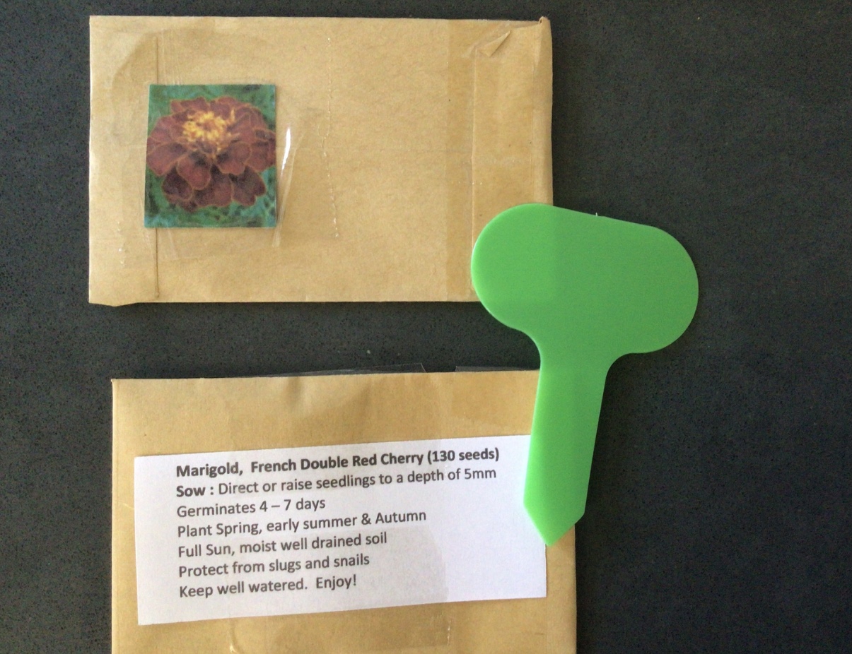 Marigold Double Red Marigold Double Red - Image 5