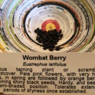 Eustrephus Latifolius Or Wombat Berry (Trailing Vine Native)