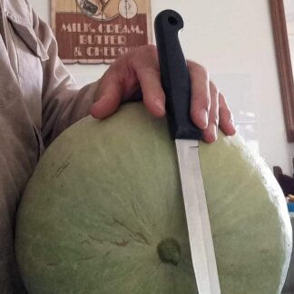 Watermelon - Desert King (Yellow) Citrullus Lanatus