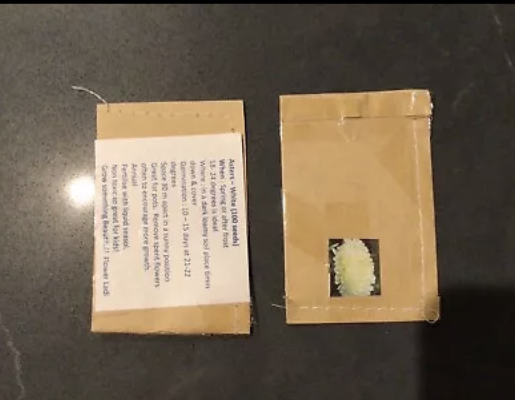 White Aster White Aster - Image 3