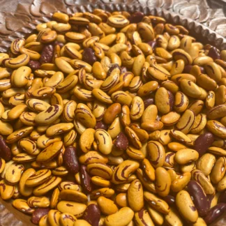 Home Bush Bean - Tiger's Eye