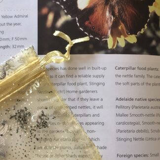 Stinging Nettle Urtica Dioica