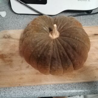 Ironbark Pumpkin