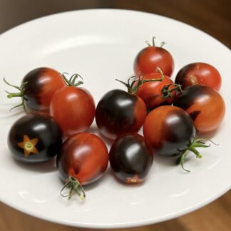 Midnight Snack Tomato