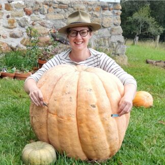 Dills Atlantic Giant Pumpkin
