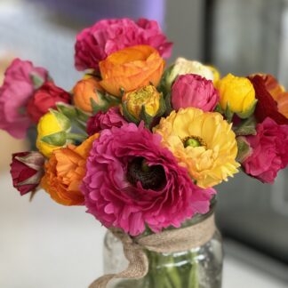 Ranunculus