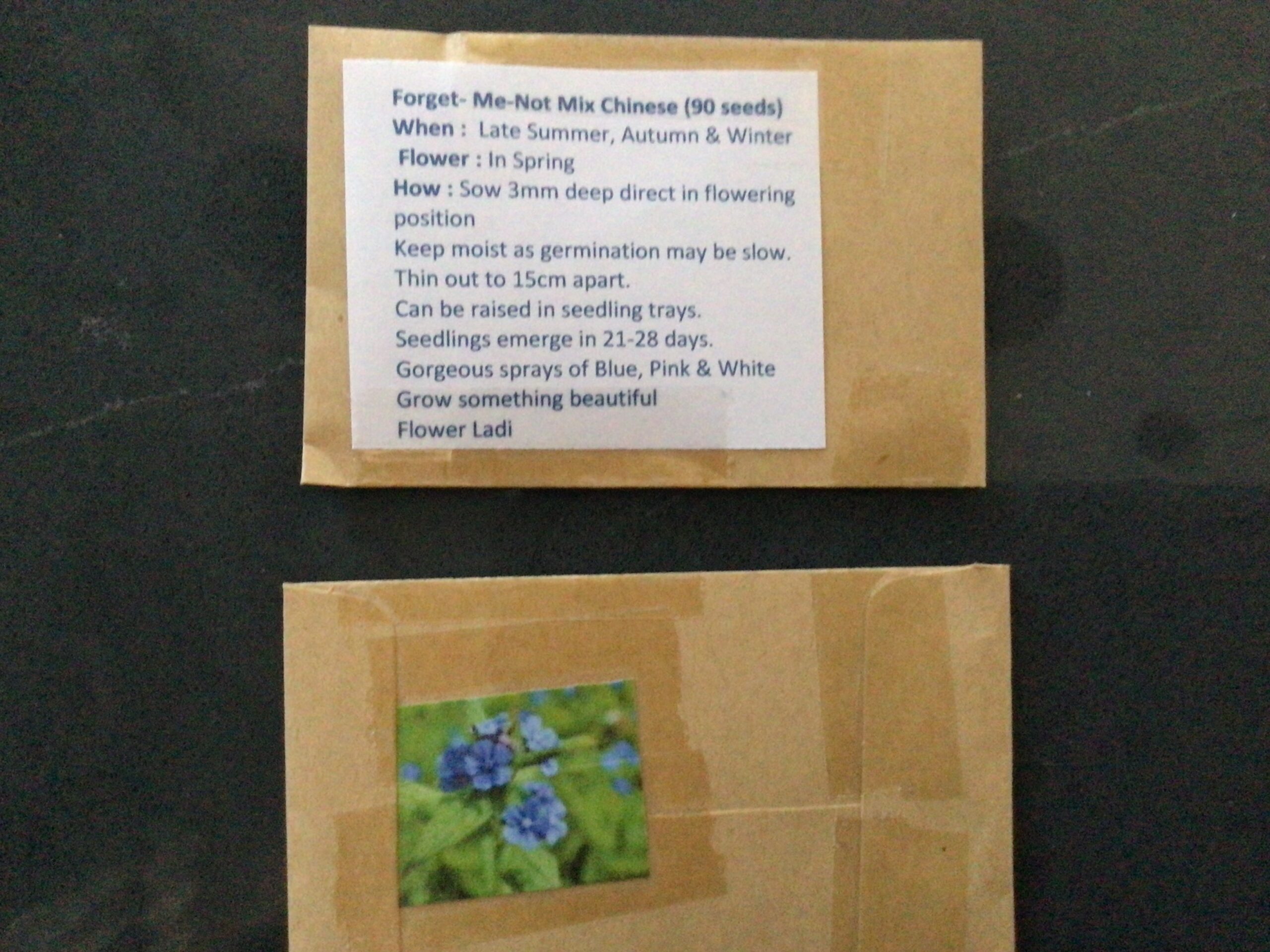 Chinese Forget Me Not Chinese Forget Me Not - Image 3