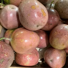 1x Passion Fruit plant