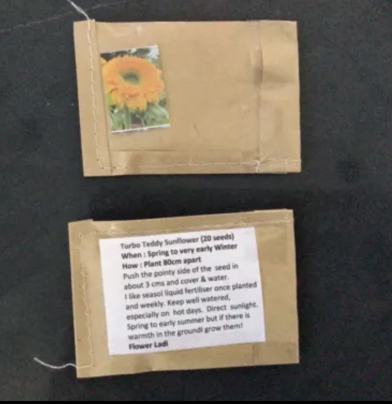 Turbo Teddy Sunflower Turbo Teddy Sunflower - Image 3