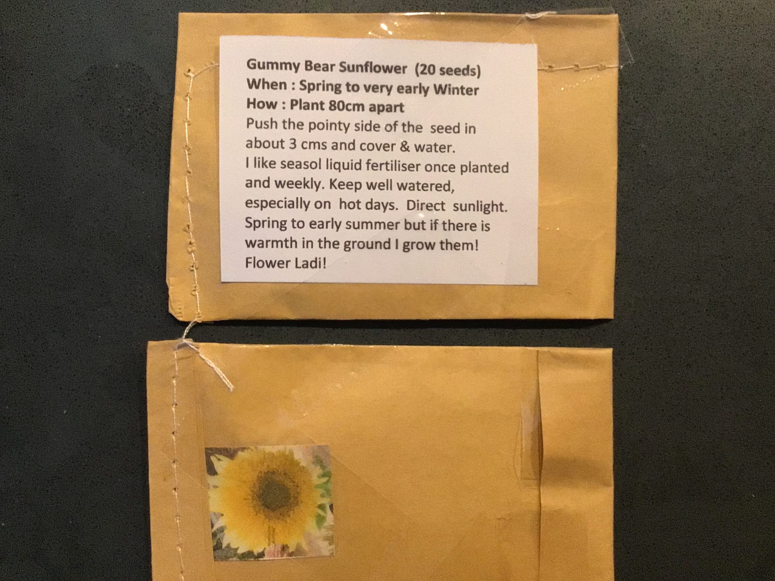 Gummy Bear Sunflower Gummy Bear Sunflower - Image 2