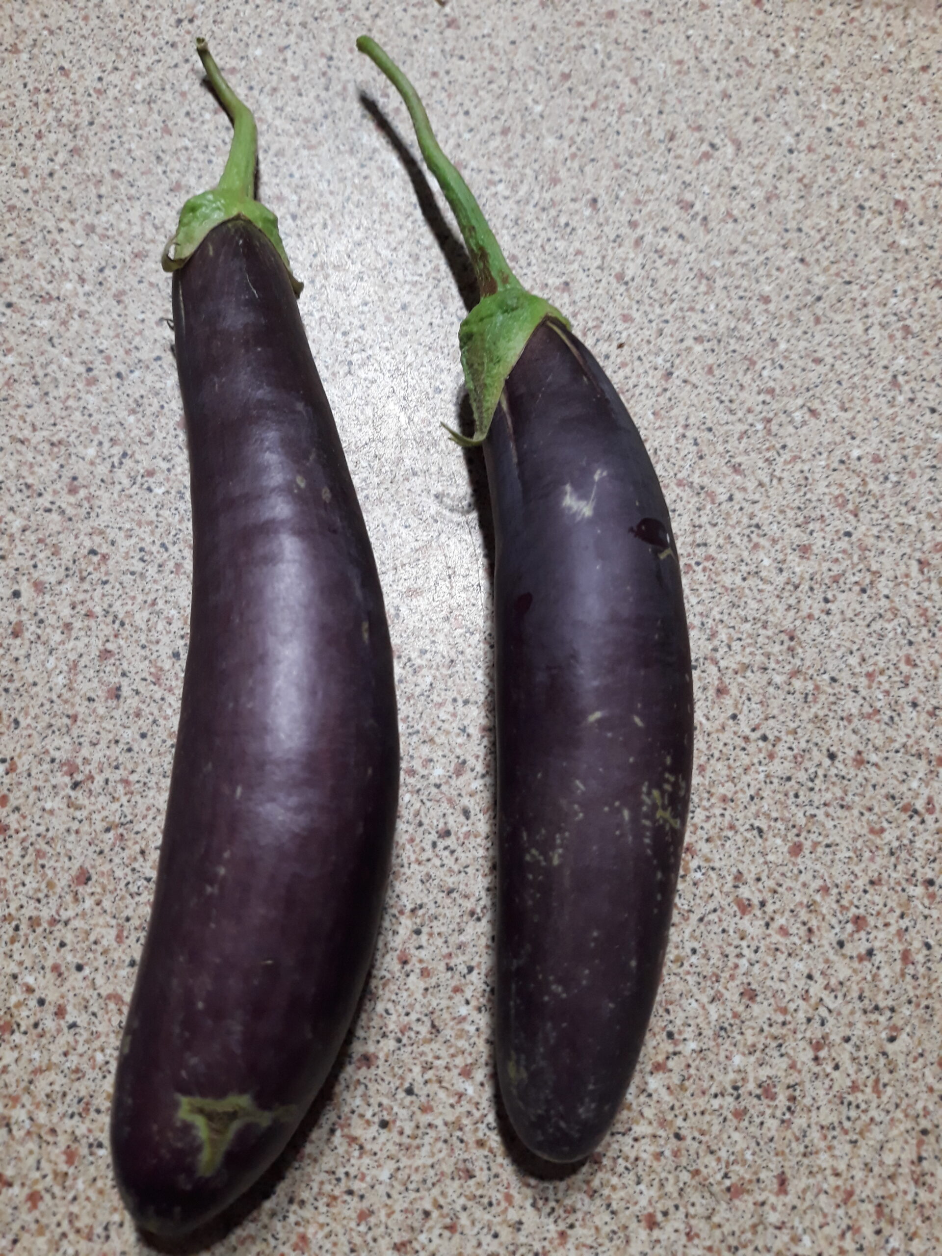 Eggplant Long Purple Eggplant Long Purple - Image 5
