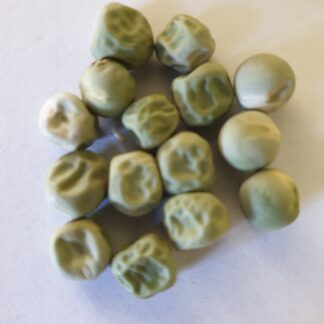 Myrtle Mountain Seed