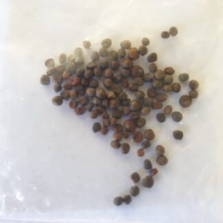 Myrtle Mountain Seed